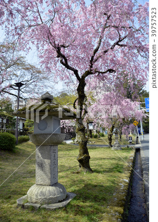 日吉泰莎的方法 39757523