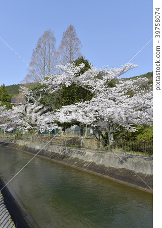 Yamashina Canal 39758074