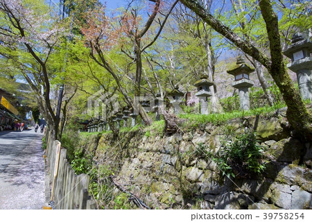 Lanterns at the Nanzan Shrine in Sakurai City, Nara Prefecture 39758254