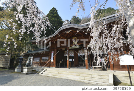 Oishi Shrine main hall 39758599