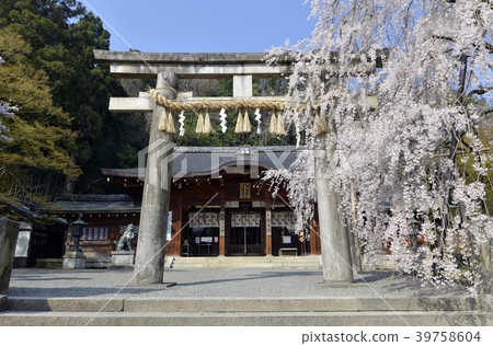 Oishi Shrine Torii Oishi Shrine Torii 39758604