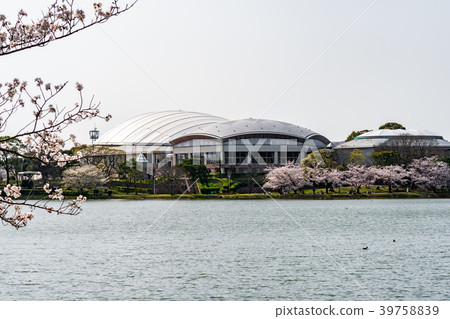 Yuan Jing Park 39758839