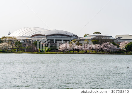 Yuan Jing Park Yuan Jing Park 39758840