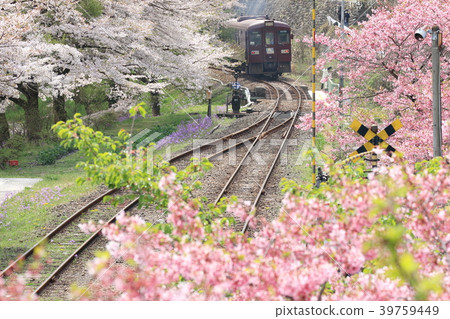 Watarase Valley Shindo“從Sakuranuma Mizunuma Station看到的風景” 39759449