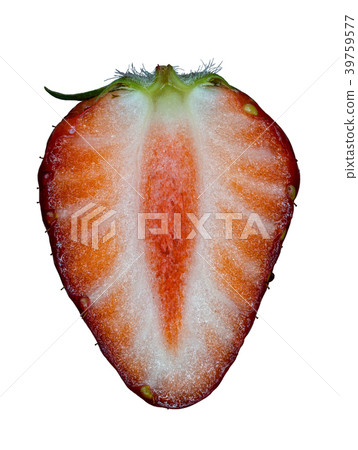 繭垂直，白色背景的橫斷面 39759577