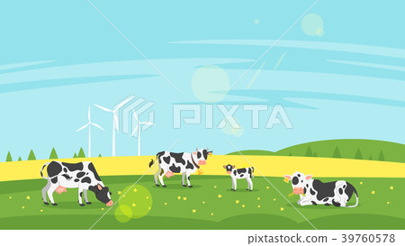 cows graze in a field cows graze in a field 39760578