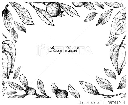 Belimbing Merah and Cambui Roxo Fruits 39761044