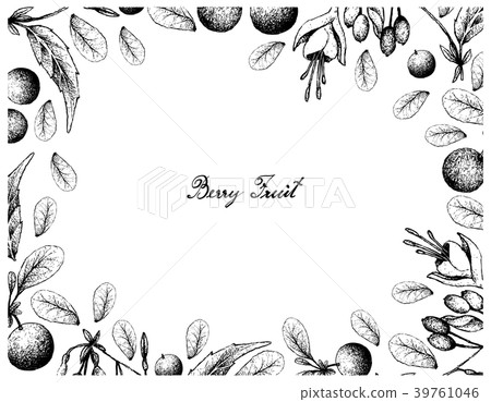 Bog Bilberries and Brinco de Princesa Frutis 39761046