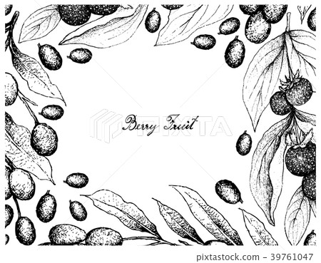 Ceylon Gooseberries and Brazil Plums 39761047