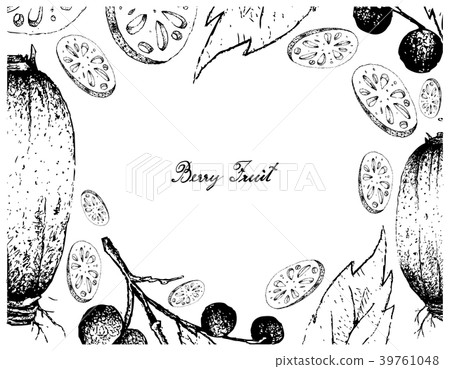 Lotus Roots and Allophylus Edulis Fruits 39761048