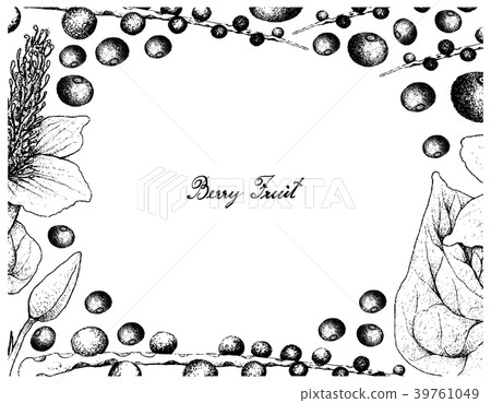 Hand Drawn Frame of Acai Berries and Lizard's Tail Hand Drawn Frame of Acai Berries and Lizard's Tail 39761049