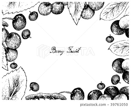 Hand Drawn Frame of Acai Berries and Cherries 39761050