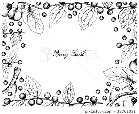 Jackal Jujube and Acerola Cherries 39761051