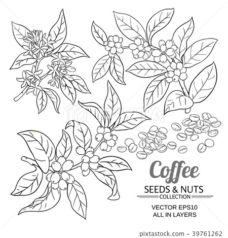 coffee vector set 39761262