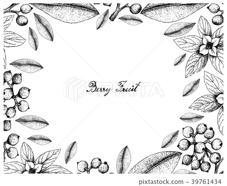 Bunchberry and Carallia Brachiata Fruits Bunchberry and Carallia Brachiata Fruits 39761434
