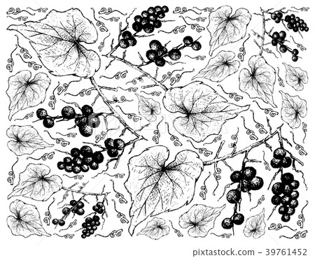 Background of Ampelocissus Martinii Fruits 39761452