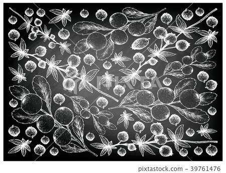 Cerasus Tianschanica Calafate Berries Chalkboard 39761476