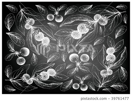 Ceylon Gooseberries and Bog Bilberries Chalkboard 39761477