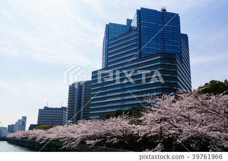Sakura Osaki part 5 along the Meguro River Sakura Osaki part 5 along the Meguro River 39761966
