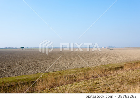 Rural Italian landscape from Po river lagoon. Rural Italian landscape from Po river lagoon. 39762262