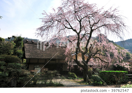 Kanae's residence ruins 39762547