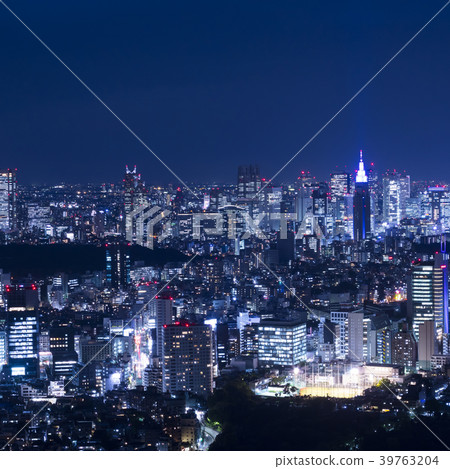 新宿大廈和夜景,東京市視圖 新宿大廈和夜景,東京市視圖 39763204