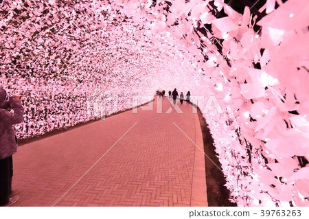 櫻花隧道 櫻花隧道 39763263