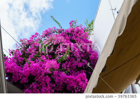 Fira村莊,聖托里尼,希臘 Fira村莊,聖托里尼,希臘 39763365