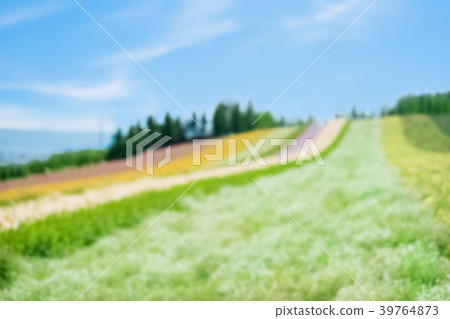 beautiful landscape in Furano beautiful landscape in Furano 39764873