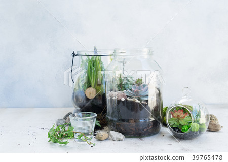 garden inside mason jar garden inside mason jar 39765478