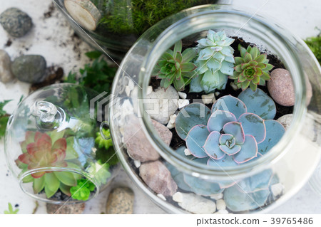 garden inside mason jar garden inside mason jar 39765486