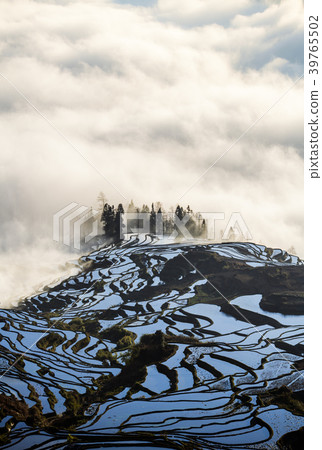Yuanyang rice terrace at sunrise, Yunnan, China Yuanyang rice terrace at sunrise, Yunnan, China 39765502