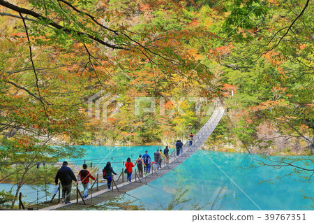 A suspension bridge of the autumn leaves 39767351