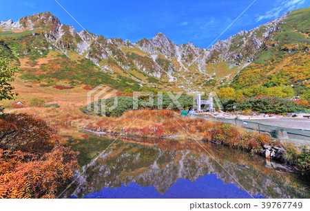 Senjyojiki Karl upside-down autumn leaves treasure 39767749