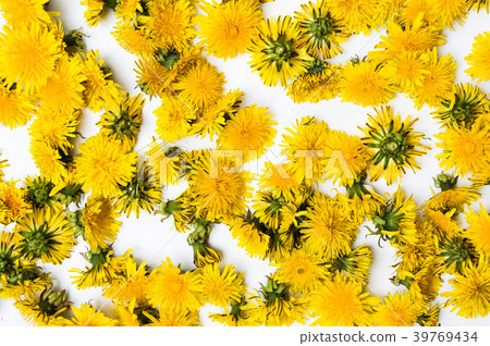 Dandelion flowers background pattern 39769434