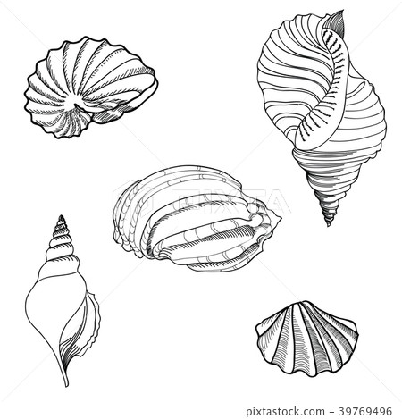 Seashell, sea star set. Summer marine background. 39769496