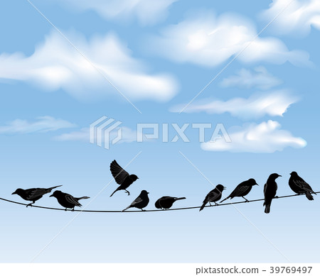 Birds on wires over blue sky background 39769497