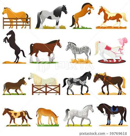 Cartoon horse vector cute animal of horse-breeding 39769618