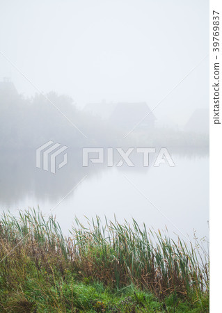 Wet grass on a lake coast in foggy morning Wet grass on a lake coast in foggy morning 39769837