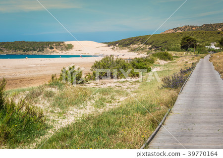 Sand dune of Bolonia beach, province Cadiz Sand dune of Bolonia beach, province Cadiz 39770164
