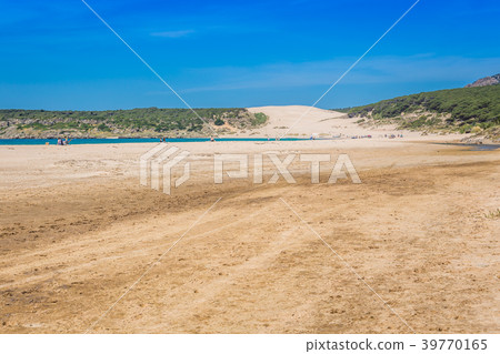 Sand dune of Bolonia beach, province Cadiz Sand dune of Bolonia beach, province Cadiz 39770165