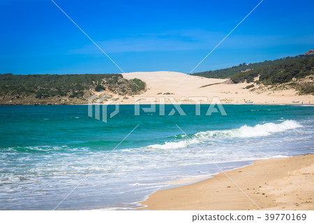 Sand dune of Bolonia beach, province Cadiz, Sand dune of Bolonia beach, province Cadiz, 39770169