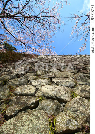 松阪城遺址的石垣 松阪城遺址的石垣 39770271