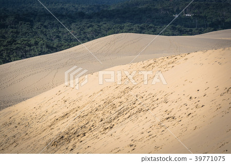 Great Dune of Pyla, the tallest sand dune Europe Great Dune of Pyla, the tallest sand dune Europe 39771075