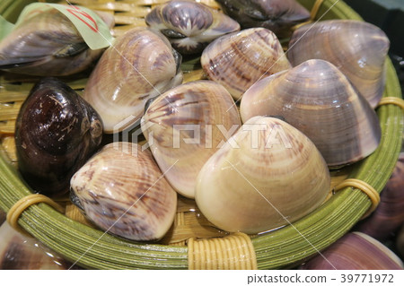 clam clam 39771972