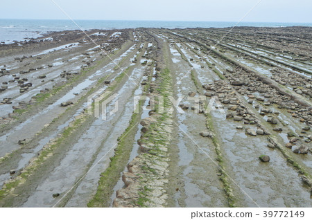 Demon's Laundry Rock (Qingdao Shrine / Miyazaki Prefecture Miyazaki City Qingdao) 39772149