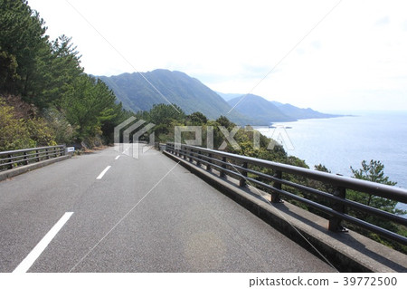 屋久島西部森林公路 39772500