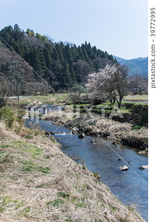 鄉村景觀 39772995