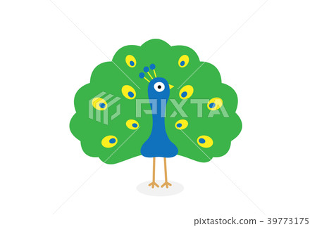 Peacock Peacock 39773175