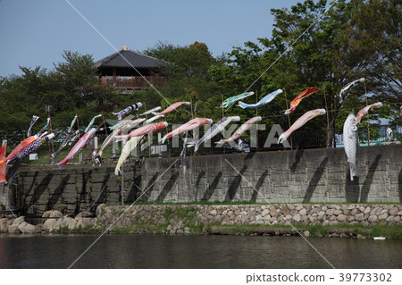 鯉魚旗 39773302